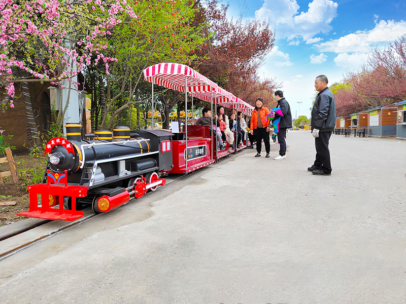 轨道小火车,轨道小火车厂家,轨道小火车价格